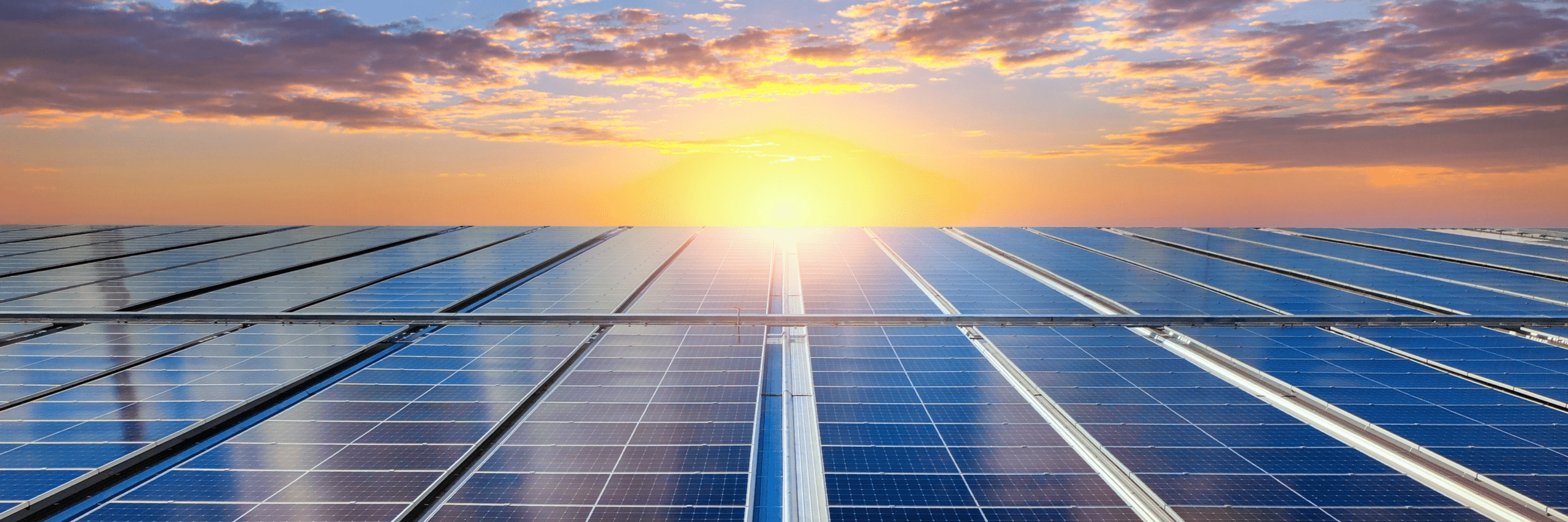 Leader Photovoltaïque Agrivoltaïsme