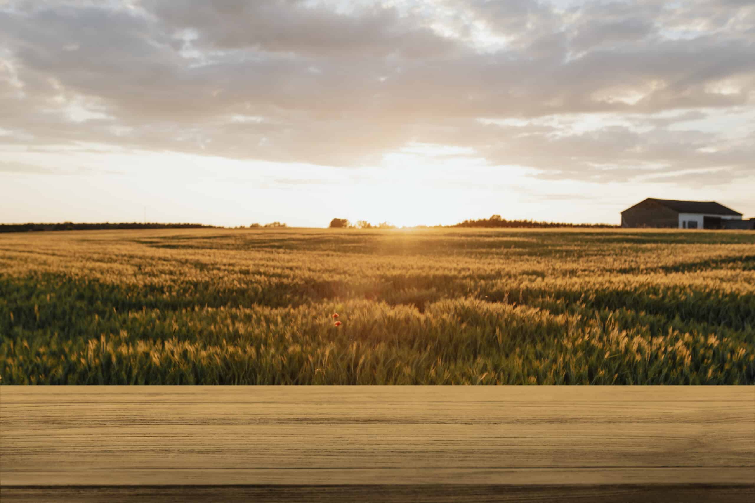 photovoltaique solaire agricole