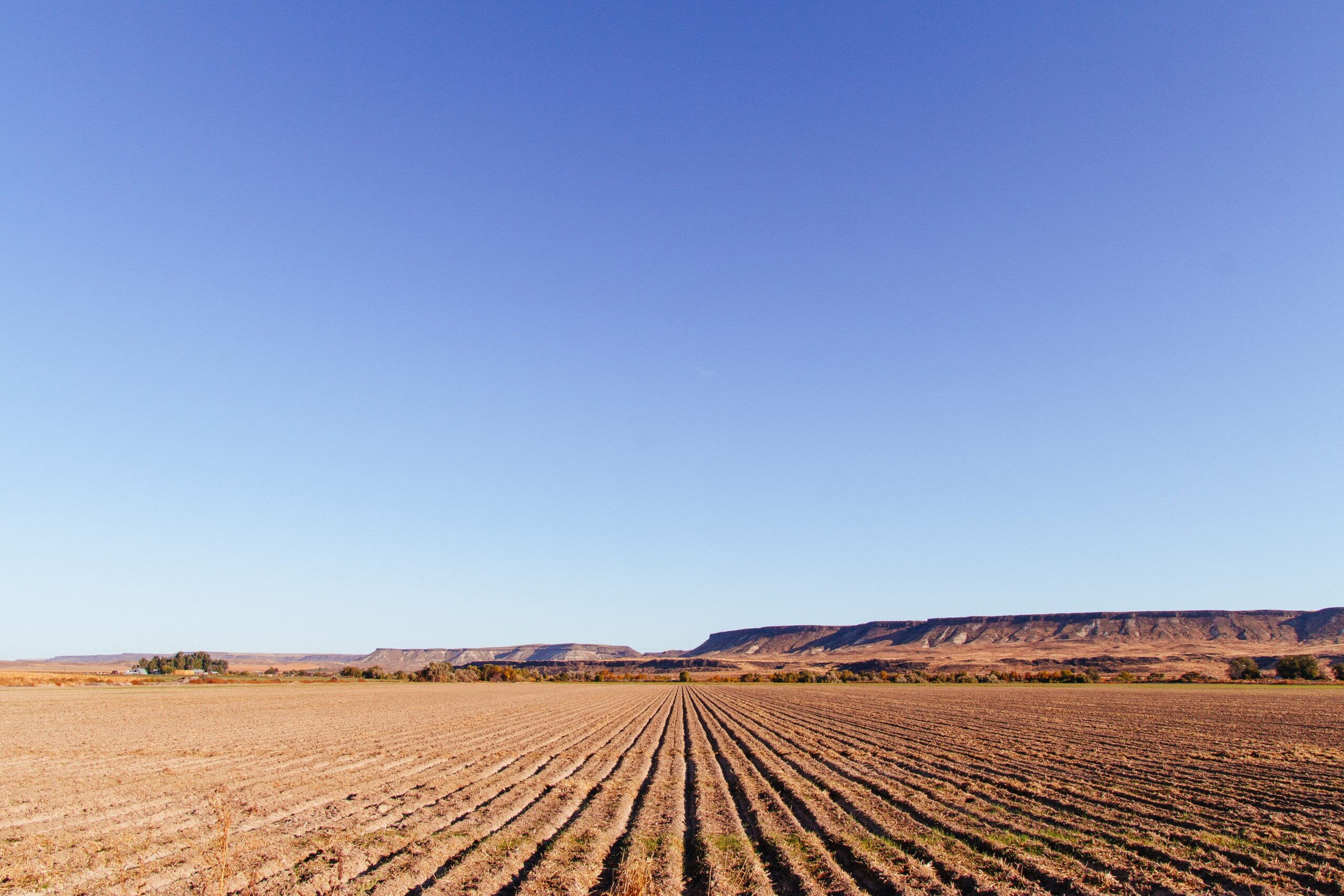 valoriser son terrain agrivoltaisme