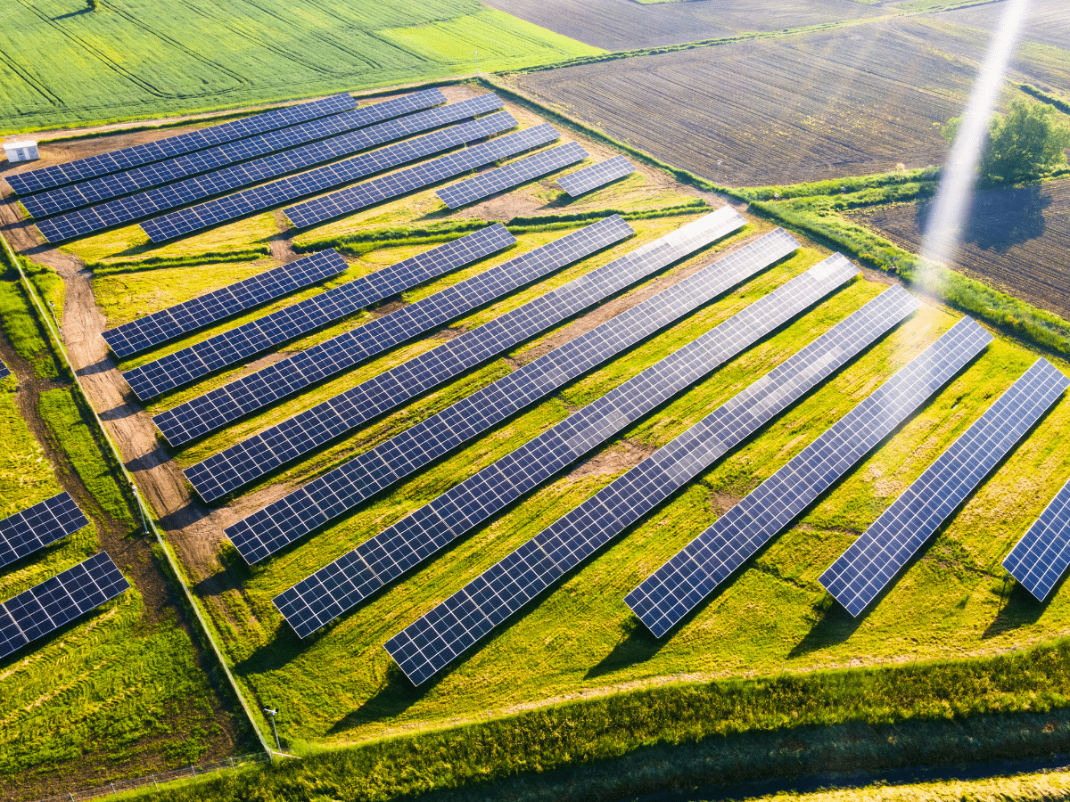agrivoltaisme-jachere-solaire